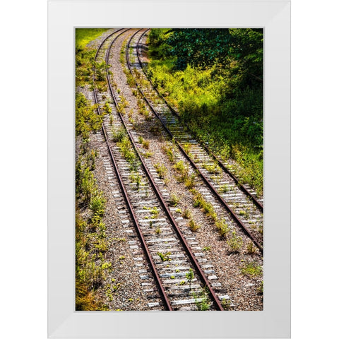 Saluda Tracks Curve  White Modern Wood Framed Art Print by Malone, Will