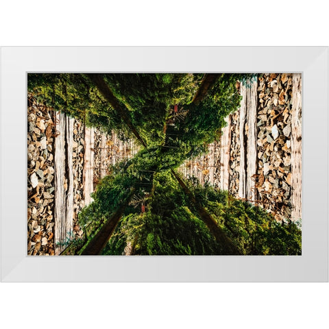 Saluda Tracks Upside Down White Modern Wood Framed Art Print by Malone, Will