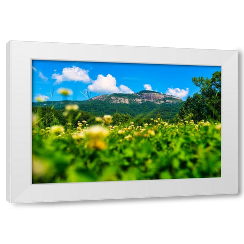 Table Rock Horizontal White Modern Wood Framed Art Print by Malone, Will