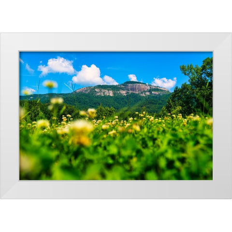 Table Rock Horizontal White Modern Wood Framed Art Print by Malone, Will