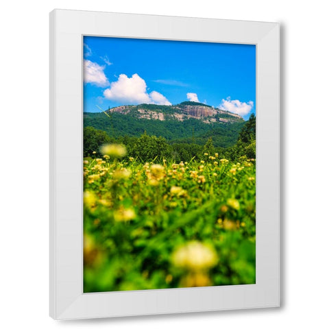 Table Rock Vertical White Modern Wood Framed Art Print by Malone, Will