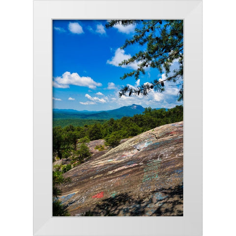 The Bald 2 White Modern Wood Framed Art Print by Malone, Will