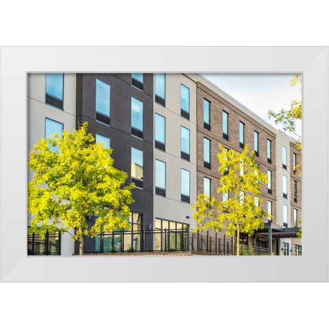Window 3 White Modern Wood Framed Art Print by Malone, Will