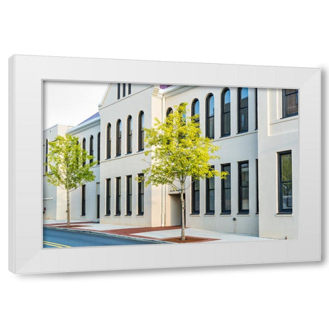 Window 4 White Modern Wood Framed Art Print by Malone, Will