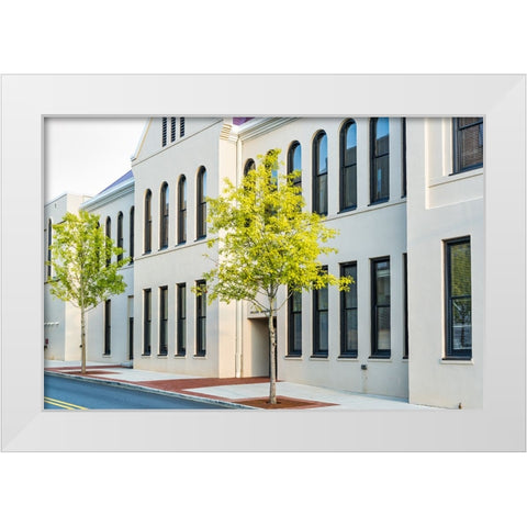 Window 4 White Modern Wood Framed Art Print by Malone, Will