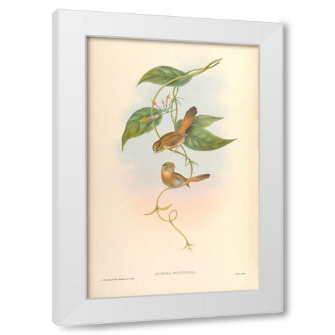 Suthora Fulvifrous White Modern Wood Framed Art Print by CAG