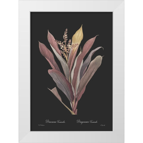 Dracaena terminalis - Dark White Modern Wood Framed Art Print by CAG