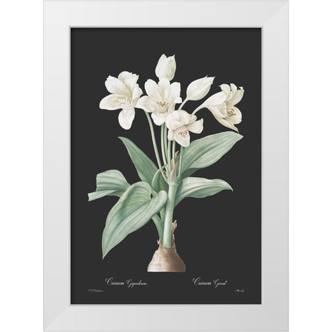 Crinum giganteum - Dark White Modern Wood Framed Art Print by CAG