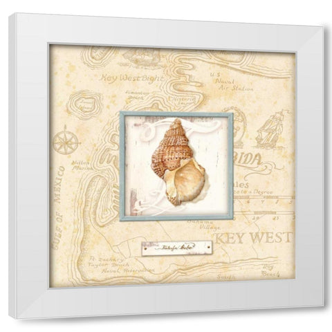 Sea Treasure I White Modern Wood Framed Art Print by Audrey, Charlene