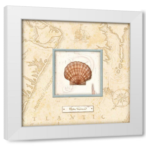 Sea Treasure II White Modern Wood Framed Art Print by Audrey, Charlene