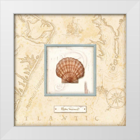 Sea Treasure II White Modern Wood Framed Art Print by Audrey, Charlene