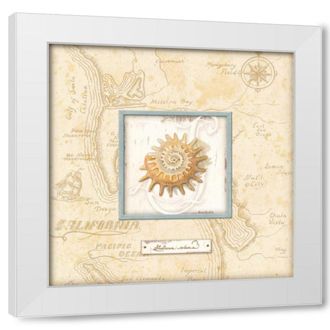 Sea Treasure III White Modern Wood Framed Art Print by Audrey, Charlene