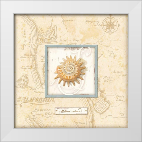 Sea Treasure III White Modern Wood Framed Art Print by Audrey, Charlene