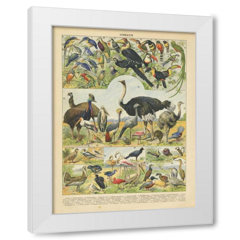 Oiseaux IV White Modern Wood Framed Art Print by Babbitt, Gwendolyn