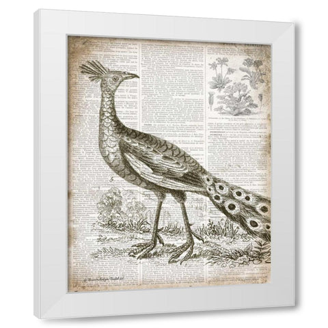 Vintage Bird I White Modern Wood Framed Art Print by Babbitt, Gwendolyn