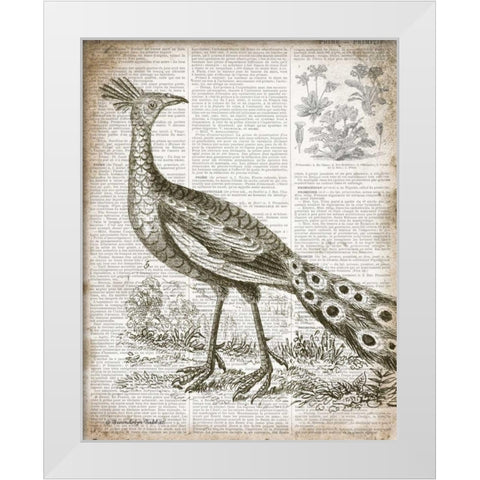 Vintage Bird I White Modern Wood Framed Art Print by Babbitt, Gwendolyn