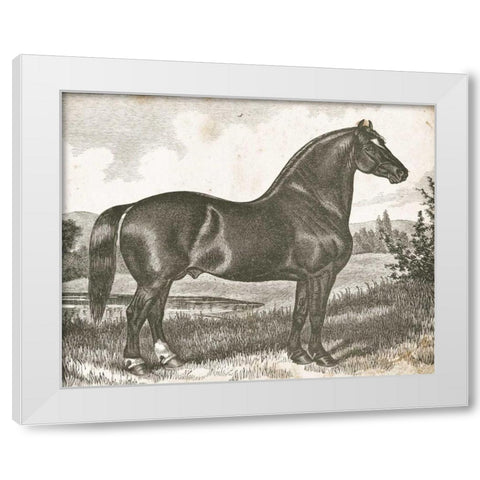 Horse Etching I White Modern Wood Framed Art Print by Babbitt, Gwendolyn