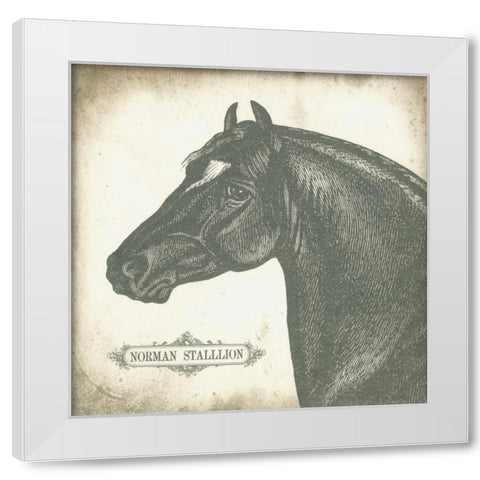 Norman Stallion White Modern Wood Framed Art Print by Babbitt, Gwendolyn