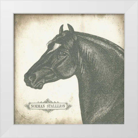 Norman Stallion White Modern Wood Framed Art Print by Babbitt, Gwendolyn
