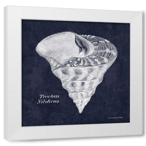 Indigo Shell IV White Modern Wood Framed Art Print by Babbitt, Gwendolyn