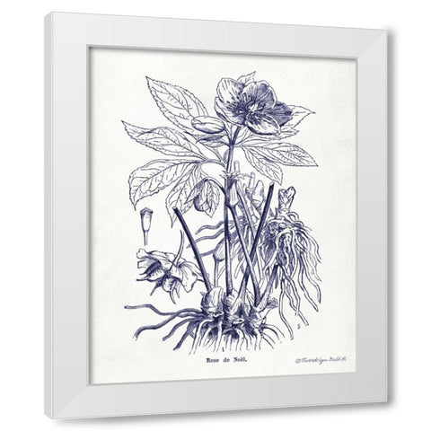 Indigo Botanical II White Modern Wood Framed Art Print by Babbitt, Gwendolyn