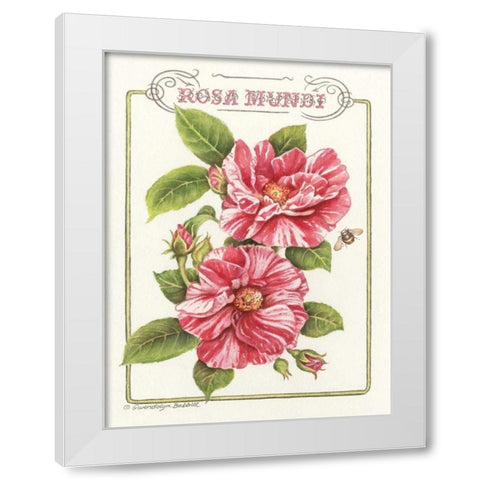Rosa Mundi White Modern Wood Framed Art Print by Babbitt, Gwendolyn
