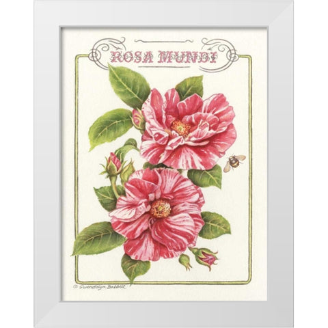 Rosa Mundi White Modern Wood Framed Art Print by Babbitt, Gwendolyn