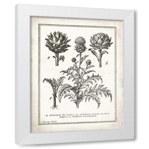 French Artichokes White Modern Wood Framed Art Print by Babbitt, Gwendolyn