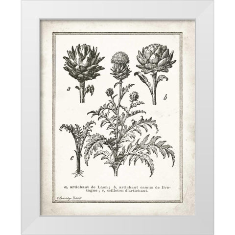 French Artichokes White Modern Wood Framed Art Print by Babbitt, Gwendolyn