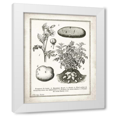 French Potatoes White Modern Wood Framed Art Print by Babbitt, Gwendolyn