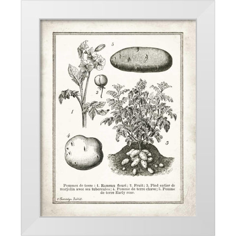 French Potatoes White Modern Wood Framed Art Print by Babbitt, Gwendolyn