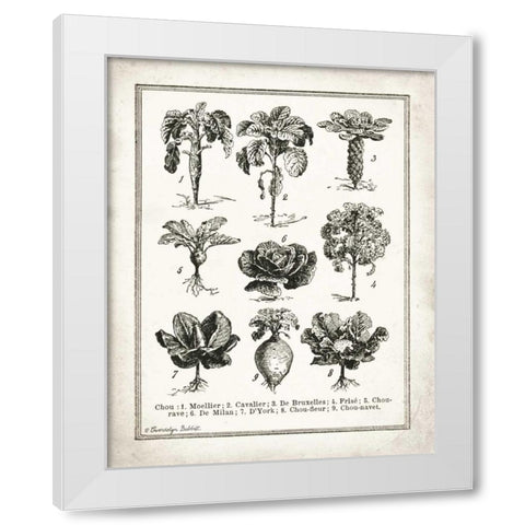 French Cabbage White Modern Wood Framed Art Print by Babbitt, Gwendolyn