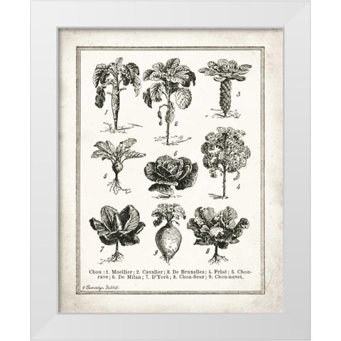 French Cabbage White Modern Wood Framed Art Print by Babbitt, Gwendolyn