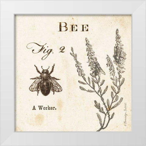 Bee Fig 2 White Modern Wood Framed Art Print by Babbitt, Gwendolyn