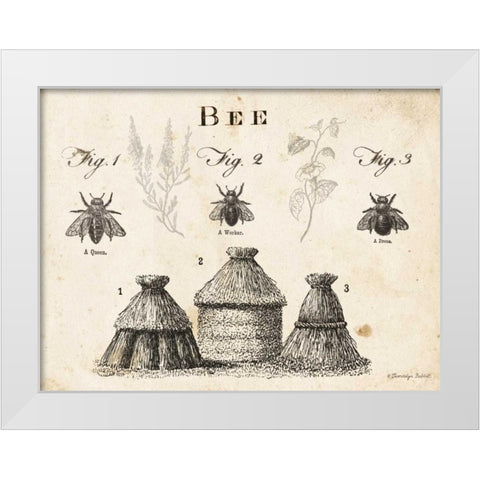 Bee Chart I White Modern Wood Framed Art Print by Babbitt, Gwendolyn