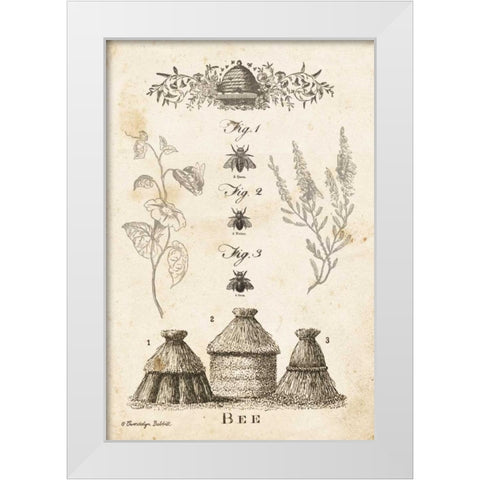 Bee Chart II White Modern Wood Framed Art Print by Babbitt, Gwendolyn