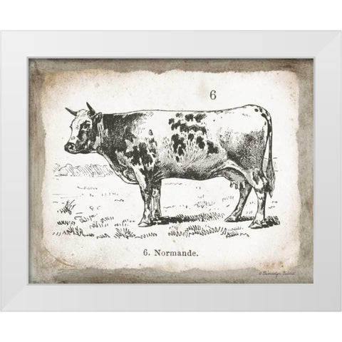 French Cow IV White Modern Wood Framed Art Print by Babbitt, Gwendolyn