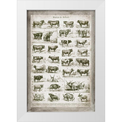 French Cow Chart White Modern Wood Framed Art Print by Babbitt, Gwendolyn