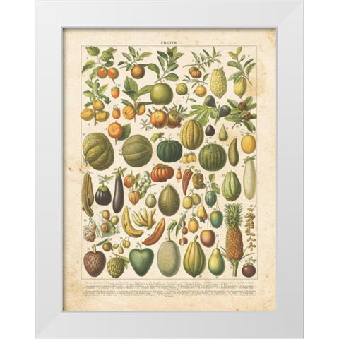 French Fruit Chart White Modern Wood Framed Art Print by Babbitt, Gwendolyn