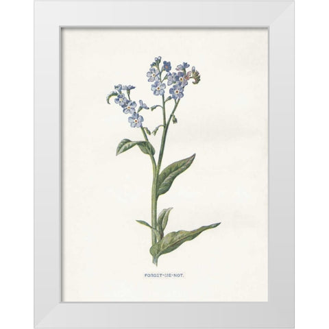 Forget me Not White Modern Wood Framed Art Print by Babbitt, Gwendolyn