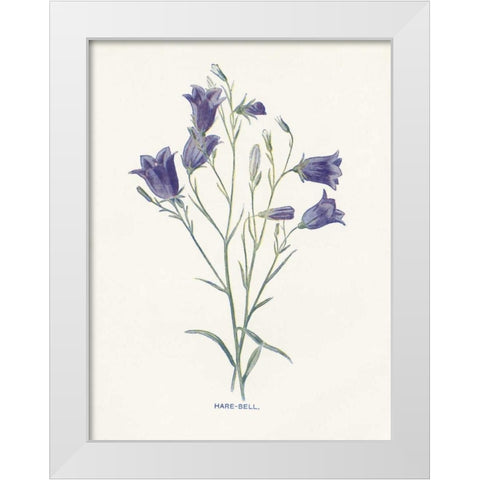 Hare-Bell White Modern Wood Framed Art Print by Babbitt, Gwendolyn