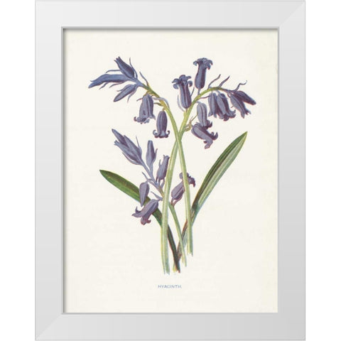 Hyacinth White Modern Wood Framed Art Print by Babbitt, Gwendolyn