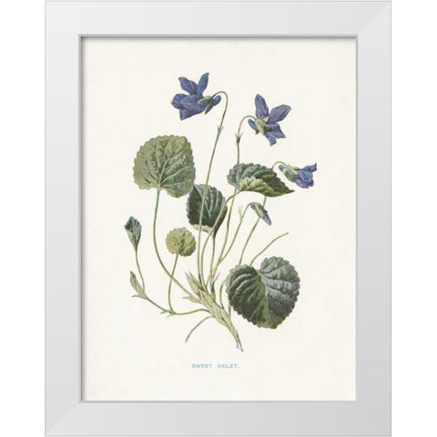 Sweet Violets White Modern Wood Framed Art Print by Babbitt, Gwendolyn