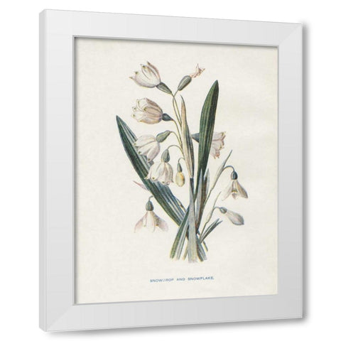 Snowdrop and Snowflake White Modern Wood Framed Art Print by Babbitt, Gwendolyn