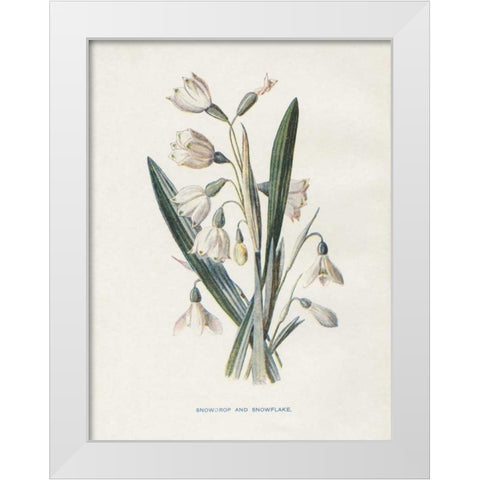 Snowdrop and Snowflake White Modern Wood Framed Art Print by Babbitt, Gwendolyn