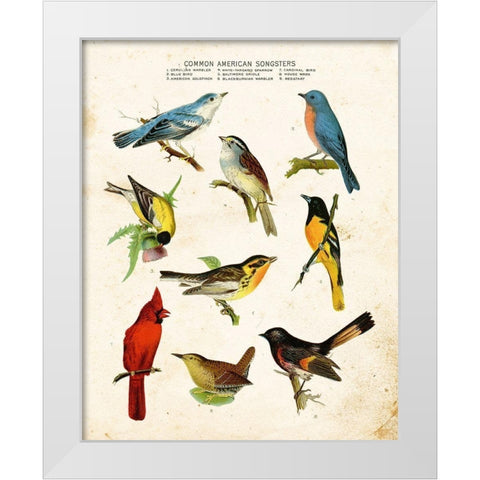 Bird Chart II White Modern Wood Framed Art Print by Babbitt, Gwendolyn