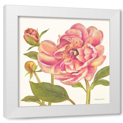 Pink Peonies II White Modern Wood Framed Art Print by Babbitt, Gwendolyn