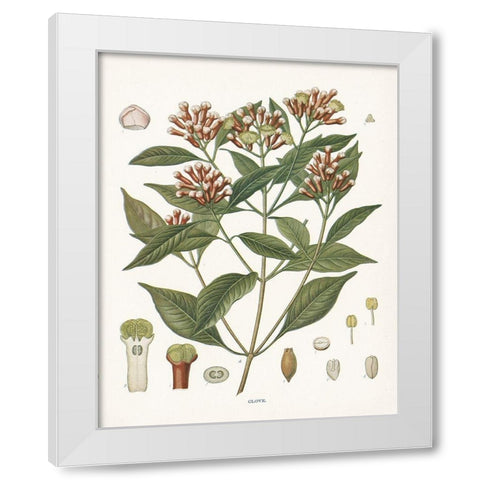 Clove Botanical White Modern Wood Framed Art Print by Babbitt, Gwendolyn