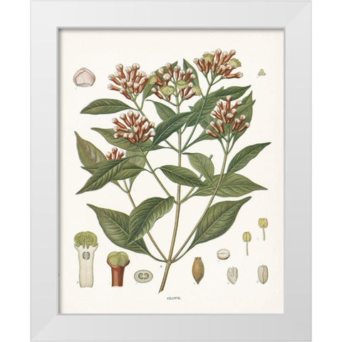 Clove Botanical White Modern Wood Framed Art Print by Babbitt, Gwendolyn