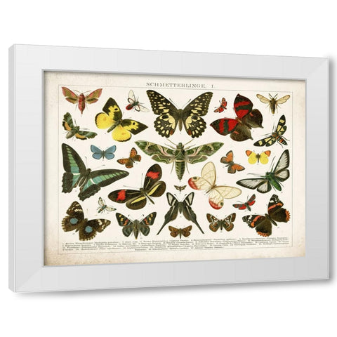 Butterfly Chart White Modern Wood Framed Art Print by Babbitt, Gwendolyn